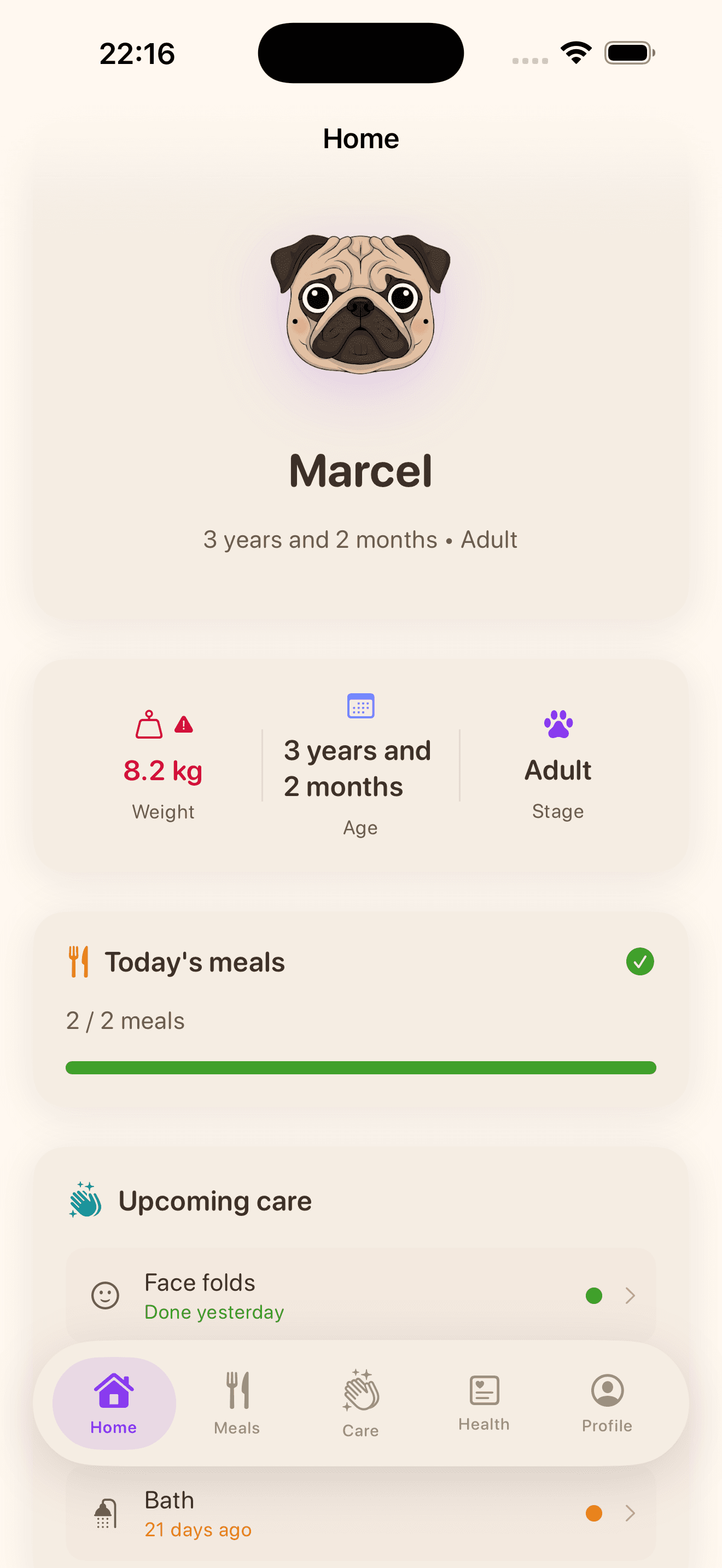 Pugify dashboard with pug profile and daily tasks