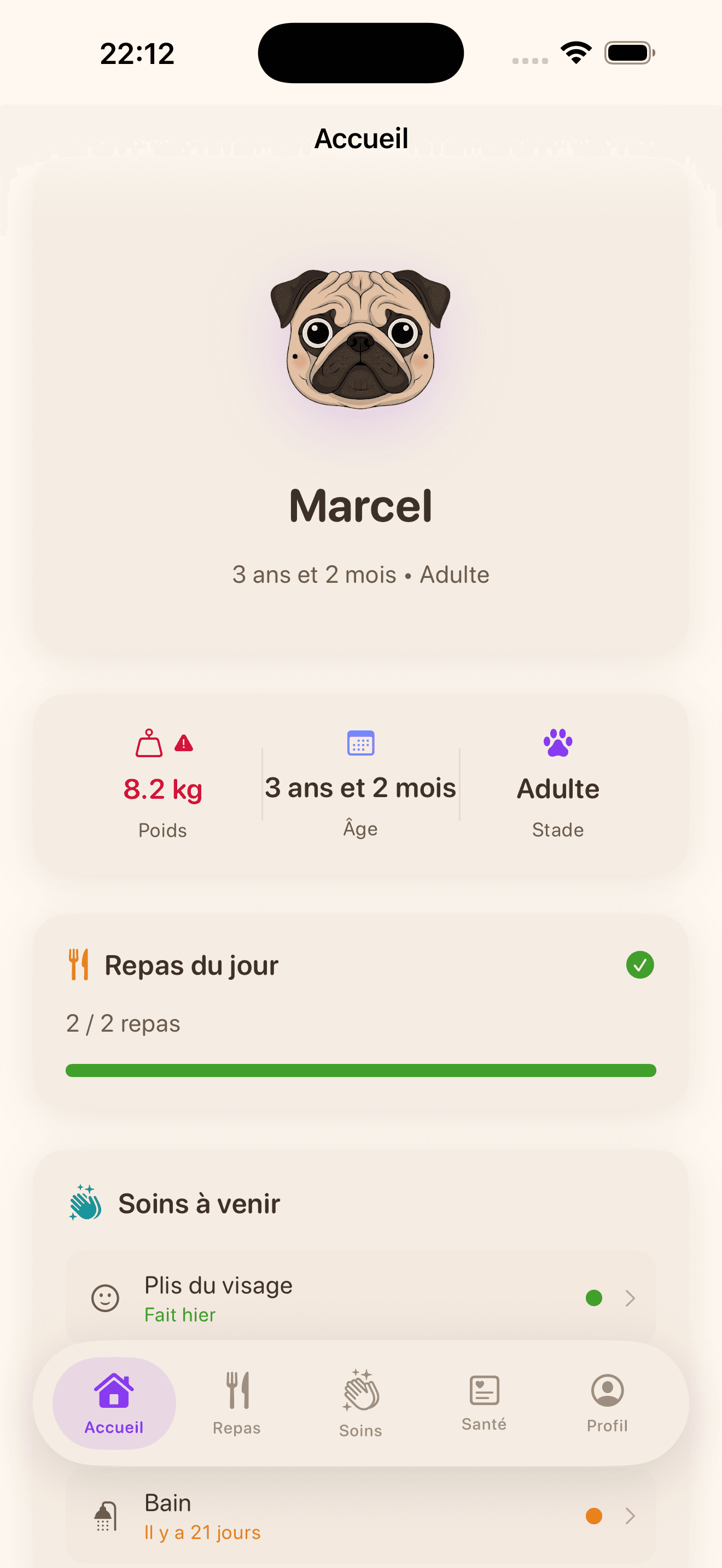 Tableau de bord Pugify avec le profil du carlin et les tâches du jour